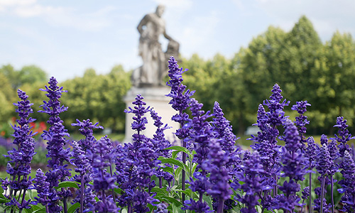 Flower parterre of the New Palace