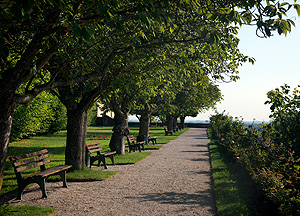 Bild: Hofgarten Dachau